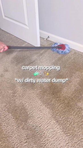4.4M views · 12K reactions | She looked clean… until the dump at the end  I wanna keep going until it’s clear, but I don’t wanna see how long it will take! #carpetmopping #carpetmop #moppingcarpet #asmrclean #ocdelulu | The Cleaning Lady | Facebook