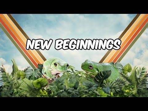 White's Tree Frogs Exciting New Adventures Await 🐸 Sneak Peek Of Upcoming Video🌿