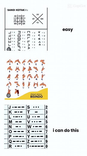 #CapCut i love learning hand laguage,morse code,block code