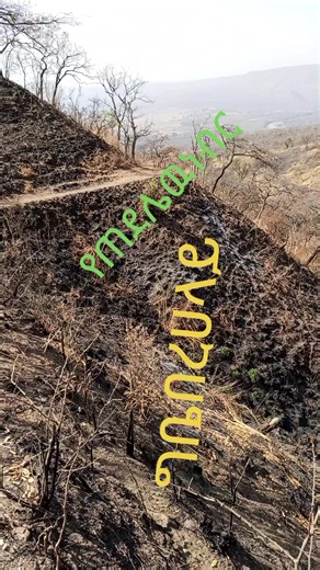 የኒዉድ አማራ 🇨🇬🇨🇬🇨🇬 (@awawaesw)’s videos with original sound - ademas