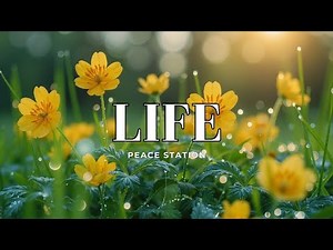 Cozy Morning Piano Music for Relaxing & Study | Peaceful Dewy Sunrise Melodies
