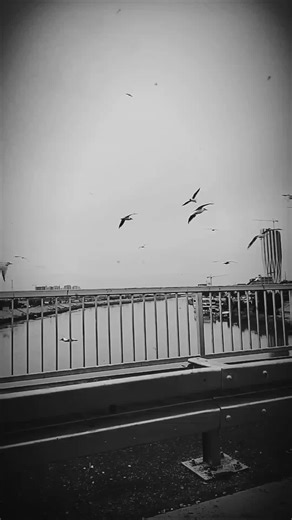 فيديوهات أنشأها 💙Mrom💙 (@mrom_119) باستخدام الصوت الأصلي - 💙Mrom💙