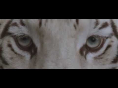 Our Last Night - "White Tiger" (OFFICIAL)