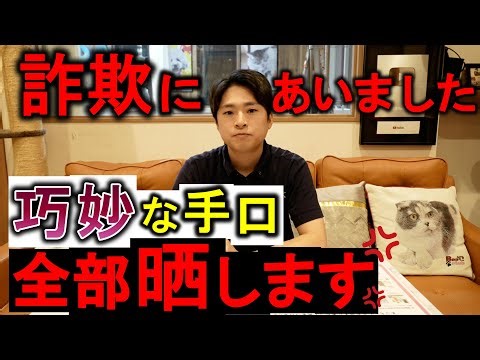 【拡散希望】猫グッズを使った詐欺にあいました。皆さんマジで気を付けてください。