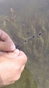 48K views · 252 reactions | World’s Smallest Fishing Rod | CEO Fishing | Facebook
