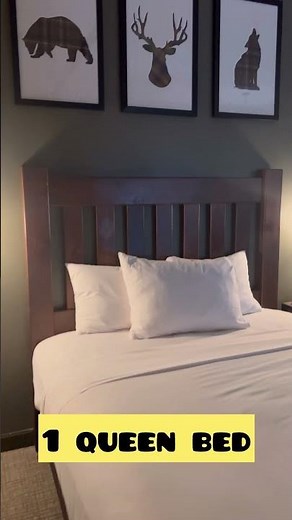 $1800 Room Tour At Great Wolf Lodge Manteca California | annasworld