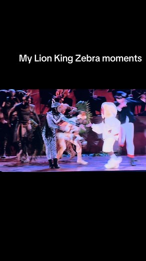 Memorable Zebra Moments from My Lion King at Hollywood Bowl