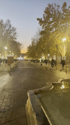 On adore se balader en fin de journée sur le cours Mirabeau à Aix-en-Provence, surtout à cette période de l'année 😍✨ | La Provence