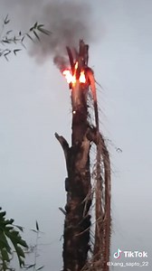 Kang sapto 22 on TikTok