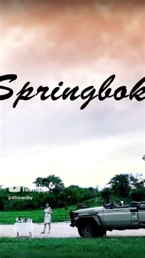 🦌 Springbok: Nature’s Acrobat 🌍 Witness the incredible agility of the springbok, one of Africa’s most iconic antelopes. Known for their high leaps, these graceful creatures embody the spirit of the African plains. Watch them in action and learn more about their world. #Springbok #SpringbokLeap #WildlifePhotography #LuxurySafari #ExploreAfrica #AfricanWildlife #SafariLife #AfricanSkySafaris #AfricaSafari #Safari #Shortfacts #factsvideos #ExploreWithAfricanSky #AnimalFacts