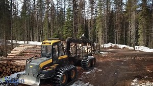 An aerial journey through a recent forest thinning. 🌲 Video by Vaagen Brothers Lumber | Healthy Forests, Healthy Communities