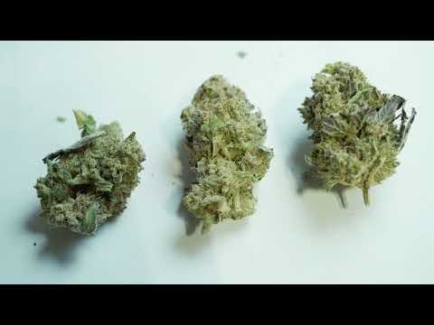 Hand-Trimmed Quality without Sacraficing Production Volume