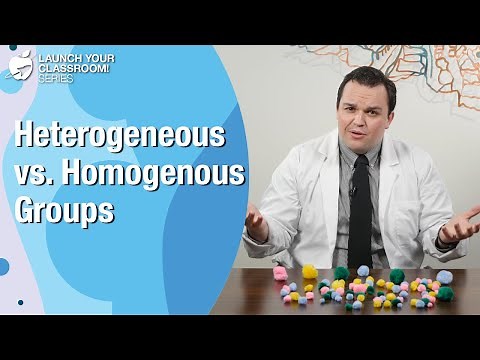 Heterogeneous vs. Homogenous Groups - Best Teaching Practices