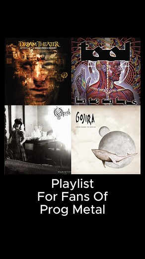 For Fans of Progressive Metal | The Orphaned Bee