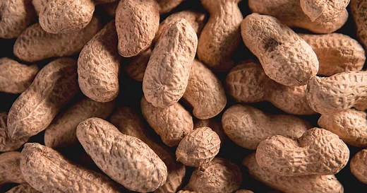 Peanut Allergy Treatment | Allergy & Asthma Network
