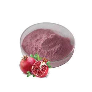 [Hot Item] Nutritional Supplement Fruit Extract Red Pomegranate Extract Pomegranate Juice Powder