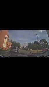 Highway Code Rule H2. Give way to pedestrians and tortoises at junctions 🐢 Not an everyday hazard. No wonder Olly stalled 😁 | King Driver Training