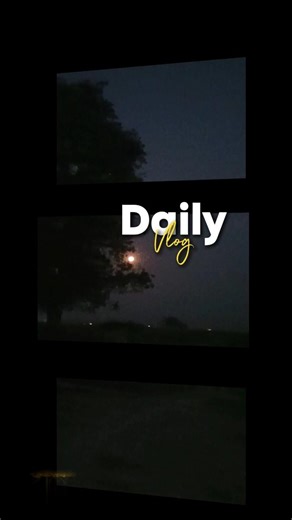 daily blog #viral #shorts #youtubeshorts #blogger #blog #trending