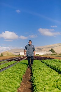 At Hawai‘i Calls, Executive Chef Jayson Kanekoa brings his passion for local sourcing and sustainable farming to every plate. He partners with Hawai‘i’s farmers and fishermen to create authentic, seasonal cuisine that celebrates community and culture. From the land to your table every dish tells a story of Hawai‘i. | Waikoloa Beach Marriott Resort & Spa
