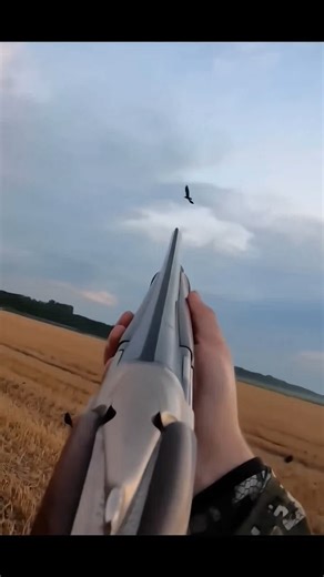 Ultimate Hunting Skills on Display | Лучшие охотничьи навыки