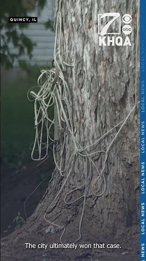 City of Quincy says five more nuisance homes going to court