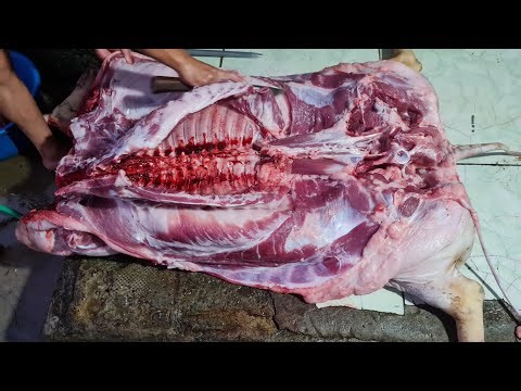 LƠNN ĐEN bản đia 80kg nanh dài 3cm thịt đỏ tươi | thực phẩm sạch