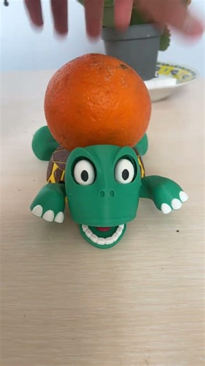 Cute Turtle 🐸#turtle #toys #sorts #shorts