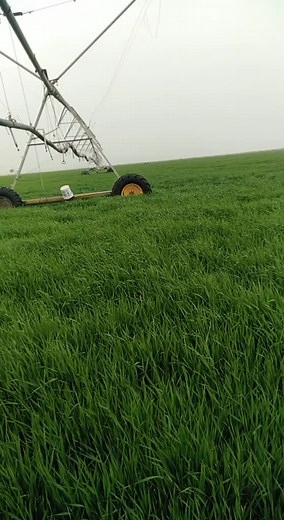 Innovative Irrigation Systems in Agriculture