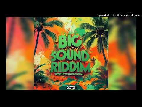 RAS BLINGZ - NDOCHEMA(BIG SOUNDS RIDDIM)