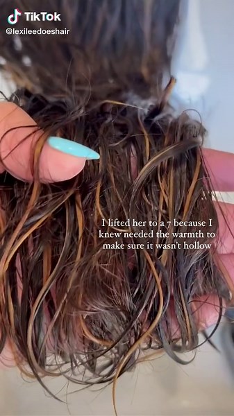 Here’s how I created this brunette 🤎 #hairtutorial #redken #hairtok #hairstylistproblems #shadeseqbyredken