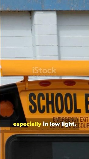 Why Do School Buses Always Look Yellow?