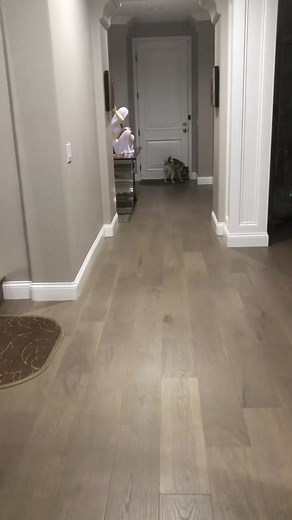 When mommy and daddy come home after being gone for a whole week!!! 🐶❤️ #dogs #dogparents #puppylove #happydog #fyp