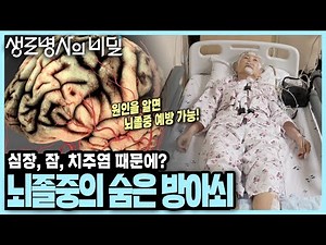 [Main Broadcast Recap] Conditions That Trigger Strokes Regardless of Age, Gender, or Symptoms! He...