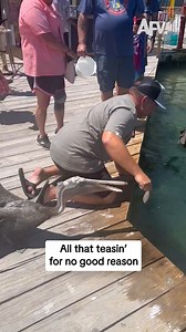 577K views · 4K reactions | Get him another fish RIGHT NOW  #afv #fail #funny | America's Funniest Home Videos | Facebook