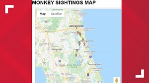 MAP: Where the invasive, herpes-carrying monkeys have been spotted on the First Coast