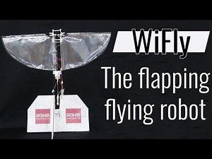 WiFly - The Flapping, Flying Robot
