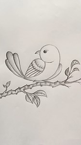 800K views · 7.7K reactions | Bird #Art #Drawing #Scenery #PencilDrawing #HowToDraw #VisualArt #Reels #Shorts #FbShorts #ArtWork #Explore #Pencil #Creative #Painting #PencilSketch #Tranding #Bird #DrawingTricks | Tahmina Art Gallery | Facebook