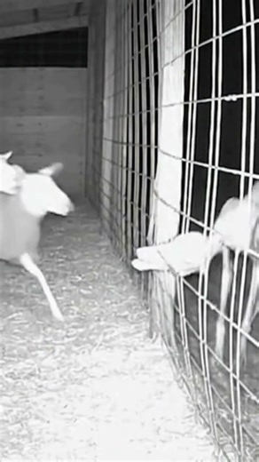 this is terrifying 😨