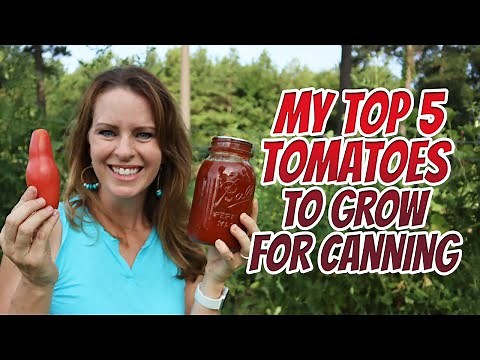 My top 5 paste tomatoes I grow for Preserving