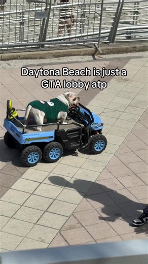 What's going on #daytonabeach #daytona #springbreak #takeover #daytonatakeover