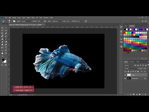 ART HISTORY BRUSH TOOL | Adobe Photoshop Tutorial