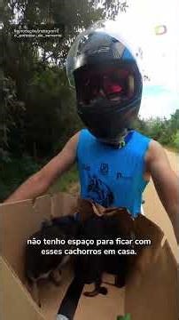 Athlete rescues three puppies during a trail ride in São Paulo and takes the animals on his motor...