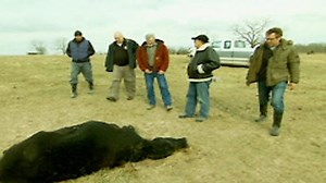 Watch UFO Hunters Season 3 Episode 6 - Alien Harvest