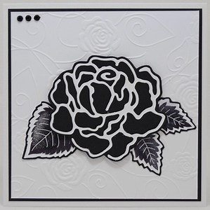 Musta Ruusu [1950]
