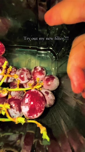 Explore My New Filter on TikTok