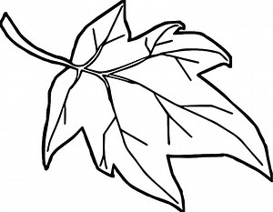 Coloring Pages | Coloring Pages Download