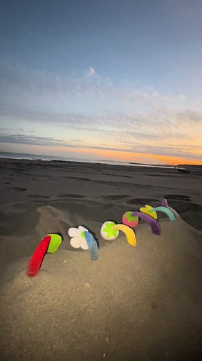 海でピクミンを見つけて引っこ抜いた話（黒幕：氷）