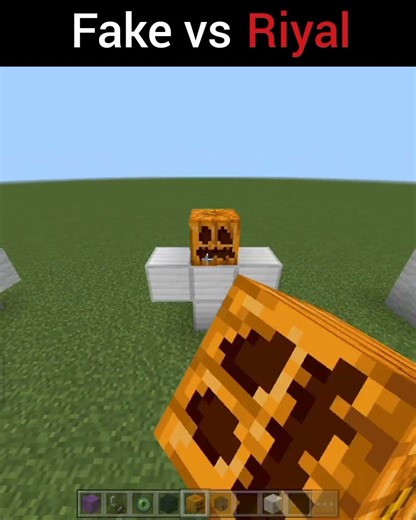 Fack Vs Riyal #minecraft #shorts