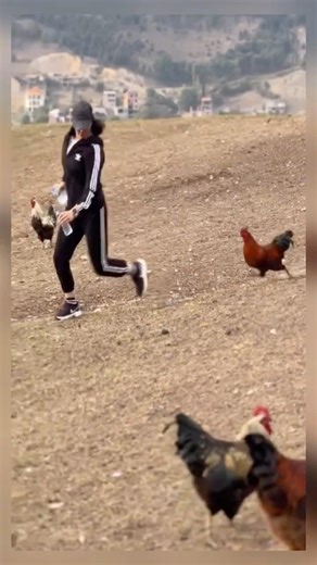 This Animal Stayed Calm… Too Calm 😳 #funnyanimals #shorts