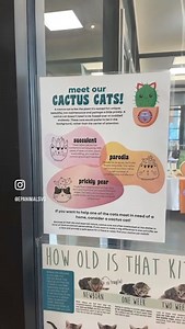 7.1K views · 834 reactions | Here at CATZ! Getting ready for today’s reading at our Cats at the Zoo encounter! It’s going on from 10:30am-11:30am inside the El Paso Zoo  We’ll have crafts, story time from our friends at the El Paso Public Library, a free book per reader & of course 14 adoptable kitties! ‍⬛ Dont miss the fun 朗 | El Paso Animal Services | Facebook